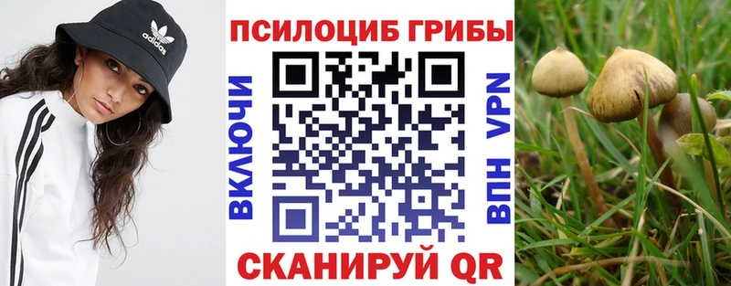 Псилоцибиновые грибы Psilocybine cubensis Тара